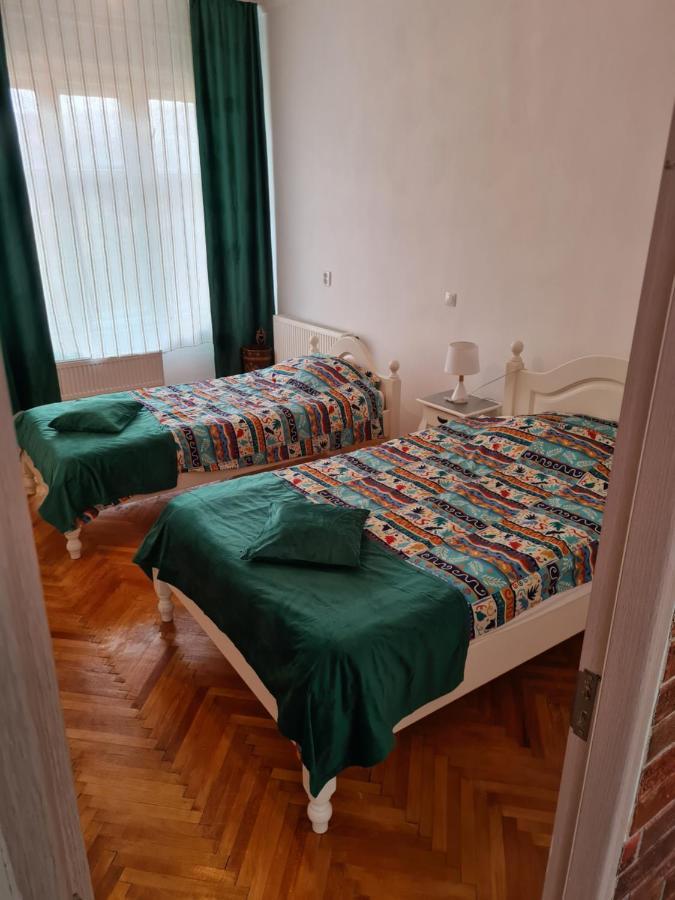 Stradela Cetatii Apartment Сигишоара Экстерьер фото